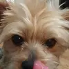 Keisha Mckee36 - @lakeishaschultz - TikTok