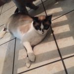 Laken Johnson - @laken080 - Instagram
