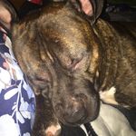Laken Johnson - @laken687 - Instagram