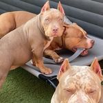 Lady Lakisha Aka Kiki - @north_manny_kiki - Instagram