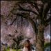 Lakisha Sullivan - Facebook