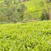 Wesley Isimba Lekisho - Facebook