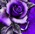 Lakshmi Kumar - Facebook