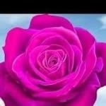 Lakshmi Setty - @lakshmi.setty.568 - Instagram