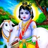 Lakshmisetty Lakshmi - @lakshmisettylakshmisetty - TikTok