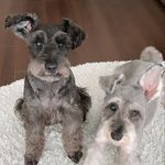 LalaCoco - @lala_.coco - Instagram