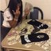 Lala Green - Facebook