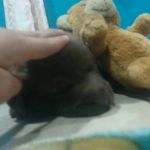 Lala Jimenez - @jimenez_lala - Instagram