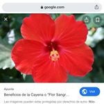 Lala Jimenez Dominguez - @lala.jimenez.domiguez - Instagram