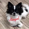 𝓛𝓪𝓵𝓪 ❤️ - @lala.babylove - TikTok