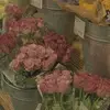 Lalaluu. - @lalaluu.hthu - TikTok
