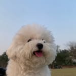 Luca ♡ - @lalaluucaa - Instagram