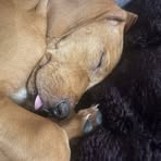 Lola Major - Facebook