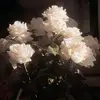 Lala reyes - @lala.reyes95 - TikTok