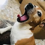 Lala Rivera - @lalita.river - Instagram
