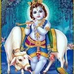Lalit Narang - @lalit.narang.52 - Instagram