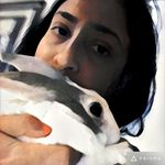 Lalitha Narayanan - @lalitha3080 - Instagram