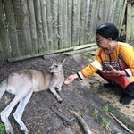 lalitha narayanan - @lalitha1331 - Instagram