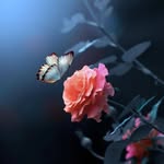 Lalitha Sankar❤️ - @_lalithabanu_sankar_ - Instagram