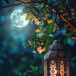 lalitha sankar - @lalithasankar47 - Instagram