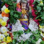 Lalitha Sankar - @lalithasankar1863 - Instagram