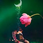 Lalitha Sankar Jonnada - @lalitha_sankar_jonnada - Instagram