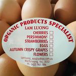 Lam Luong - @lamhoailuong - Instagram