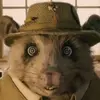 lammai - @peterfuckingrabbit - TikTok