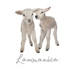 корейский/крейзи/классический маникюр МОЗЫРЬ БЕЛАРУСЬ - @lammanica - Instagram