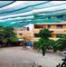 THCS LAM SON Q.6 - Facebook