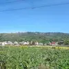 Lam Tung - @lamtung328 - TikTok