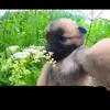 lamtung - @lamtungn - TikTok