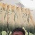 Adit Lapar Bu - Facebook