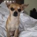 Lamar Campbell - Facebook