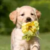 lamardaugherty449 - @lamardaugherty449 - TikTok