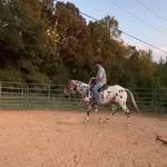 Tucker Lamar Fields - @tuckerlamarfields - Instagram