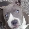 Lamont Jones - @lamont.jones952 - TikTok