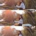 Lan Luo - Facebook