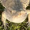 Landyn Nelson - @landyn.nelson3 - TikTok