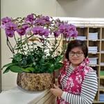 Lan  Pao Chu - @lanpaochu - Instagram