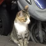 YenWei Lan - @lan_pao_pao - Instagram
