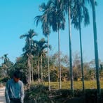 Lan Shing Khon - Facebook