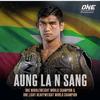 Åūñĝ. Là Ñ Ŝàñĝ - @aunglansung4 - TikTok