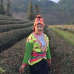 Lan Sung - Facebook