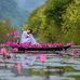 Lan thach - Facebook