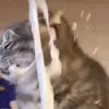 Lan Trieu - @lan.trieu87 - TikTok