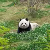 Lan Vu - @lanvu643 - TikTok