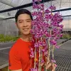 VƯỜN LAN ANH VŨ - @voanhvu8 - TikTok