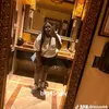 lanye44 - @lanye44 - TikTok