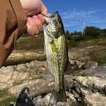 Lanye - @lanye3943 - Instagram